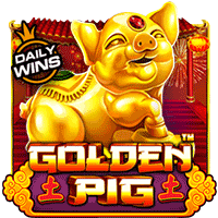 Golden Pig